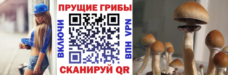 Псилоцибиновые грибы прущие грибы  Керчь 
