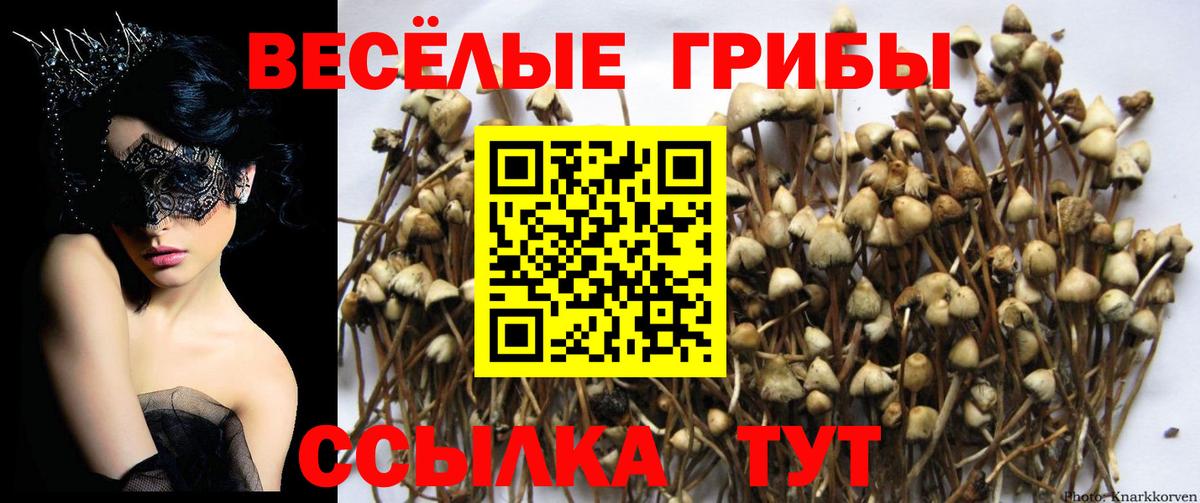 Керчь  Галлюциногенные грибы мухоморы  Галлюциногенные грибы прущие грибы  закладки  Вход с VPN 